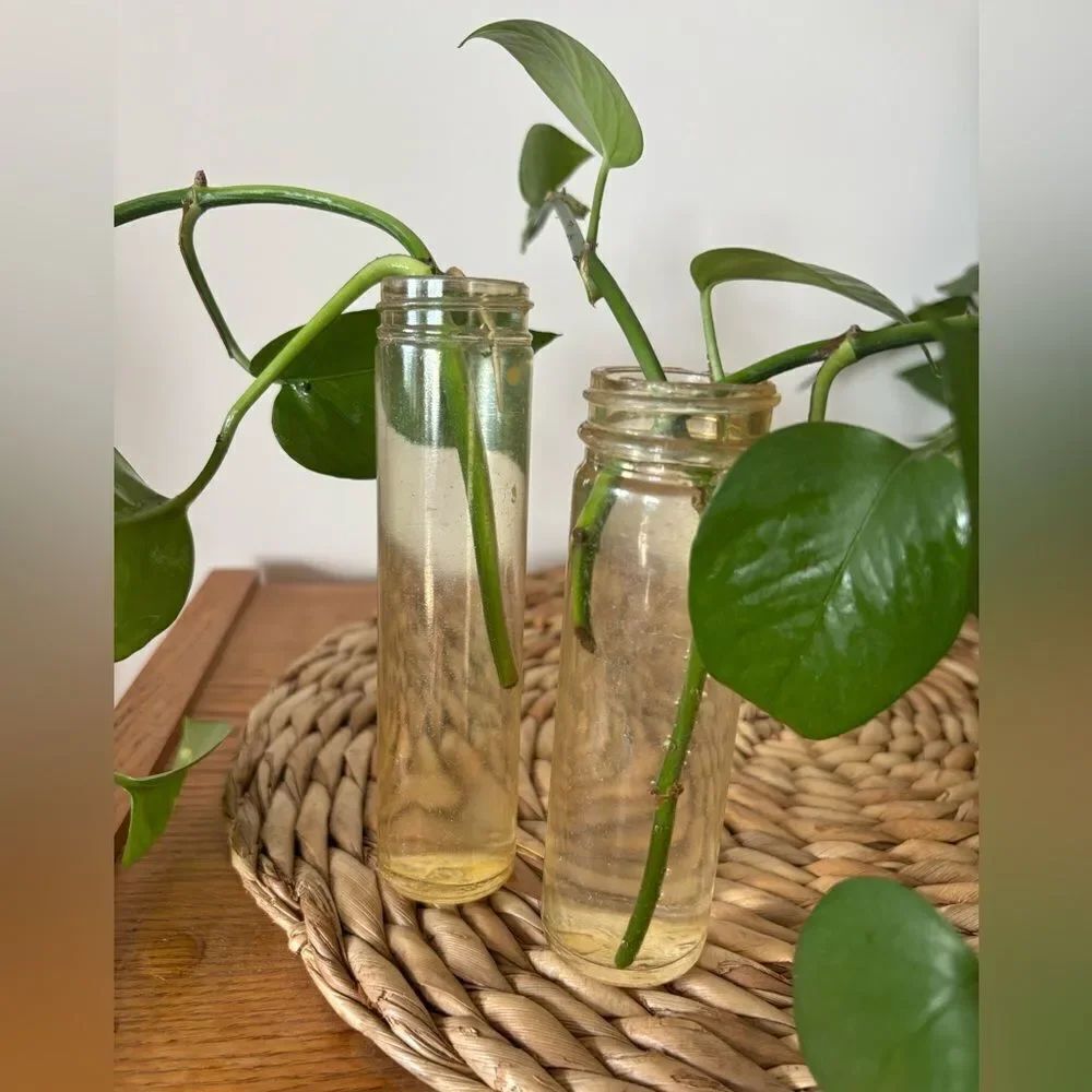 🎀Vintage🎀 1940s Pair of Bottles Found In The Sea